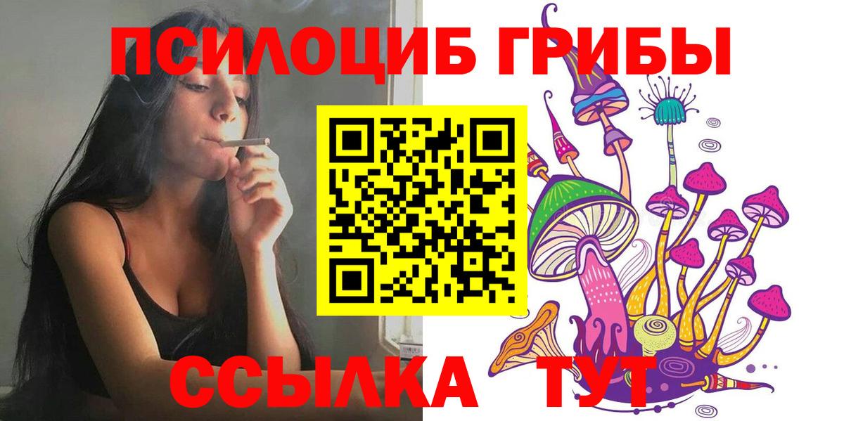 Псилоцибиновые грибы мухоморы  Вход с VPN  Артём  Псилоцибиновые грибы прущие грибы 
